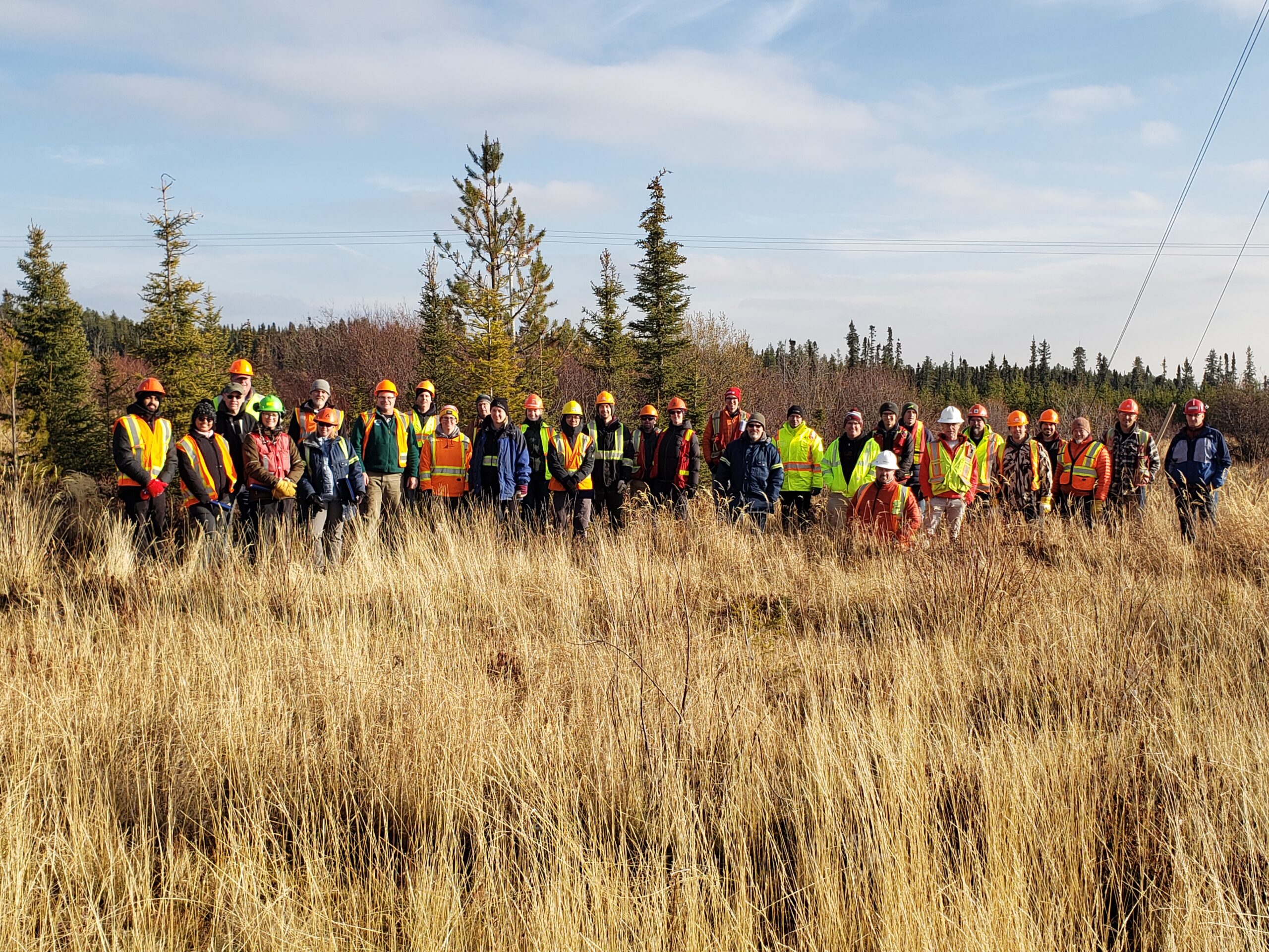 large group of people in hi-vis and helmets standing in an area with tall grass and trees in the background